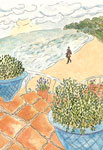 beachwalk