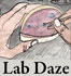 lab_Daze_icon