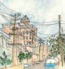 pacific_heights
