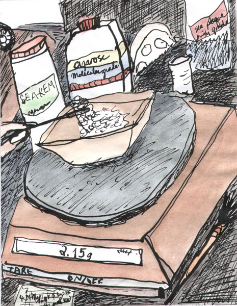 weigh_agar
